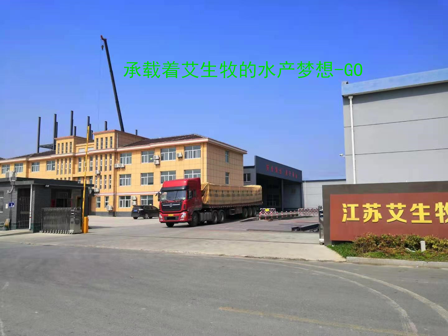 1615854056364462.jpg 1615854056364462.jpg